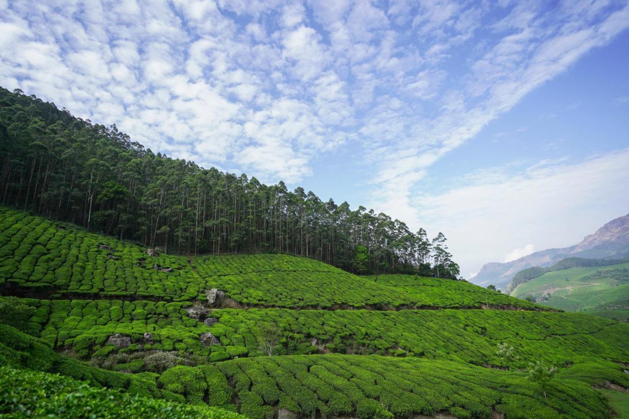 Tea Valley Resort, Munnar Exterior photo