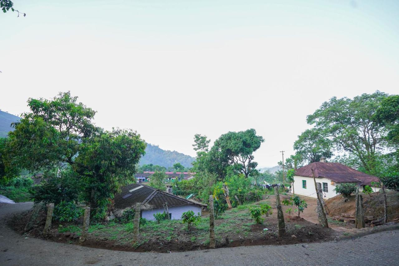 Tea Valley Resort, Munnar Exterior photo