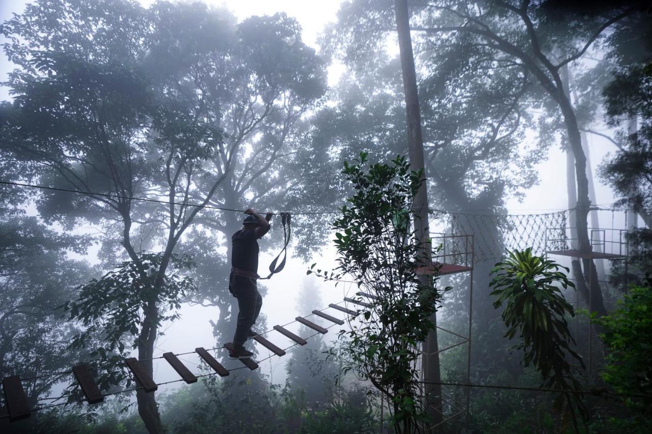 Tea Valley Resort, Munnar Exterior photo